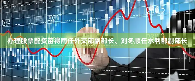 办理股票配资苗得雨任外交部副部长、刘冬顺任水利部副部长