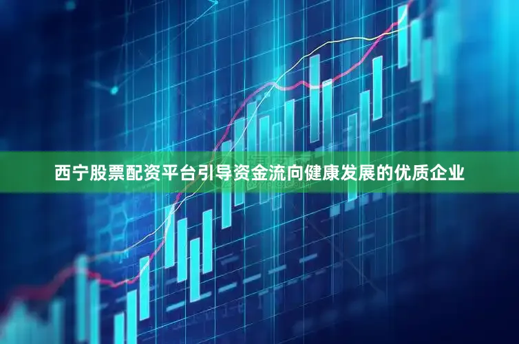 西宁股票配资平台引导资金流向健康发展的优质企业
